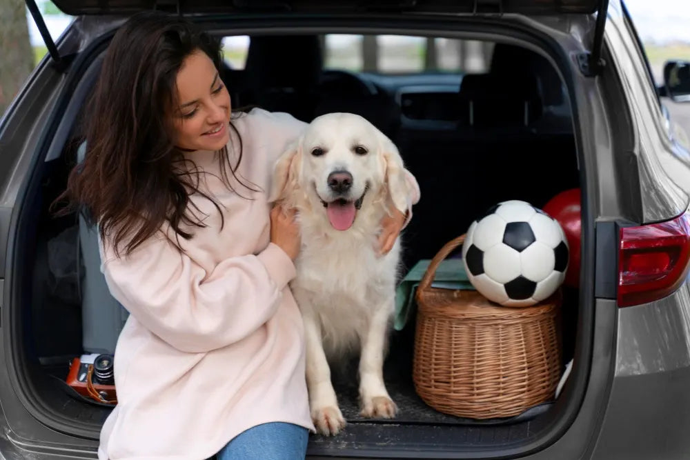 Woman Holding Dog on 3W Car Mats