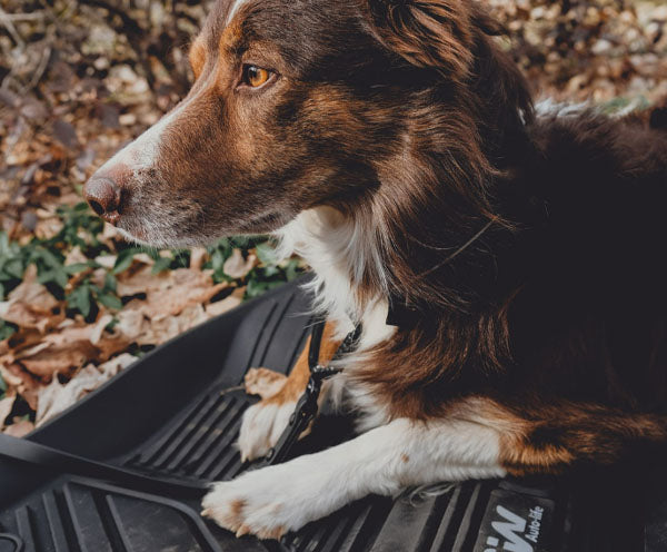 Are Custom Car Mats Really Worth It?