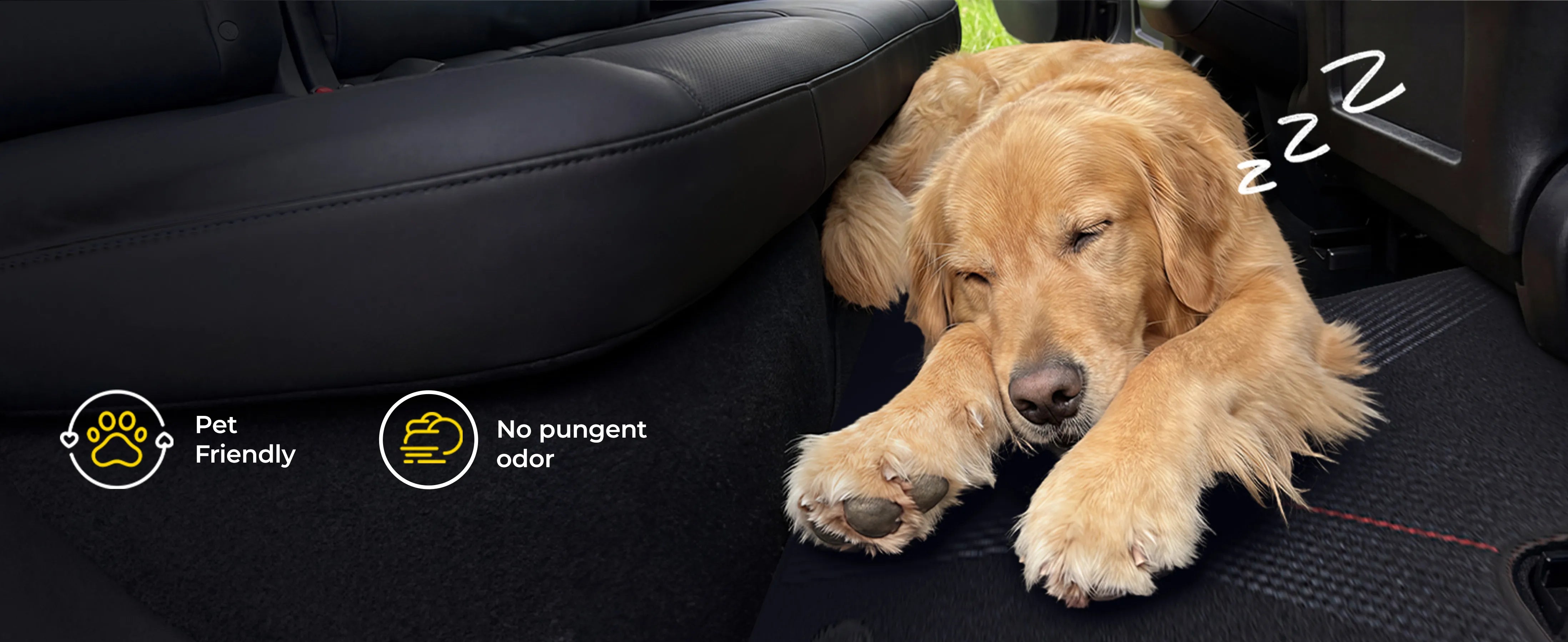 Comfort for every passenger—even the ones with four paws.
